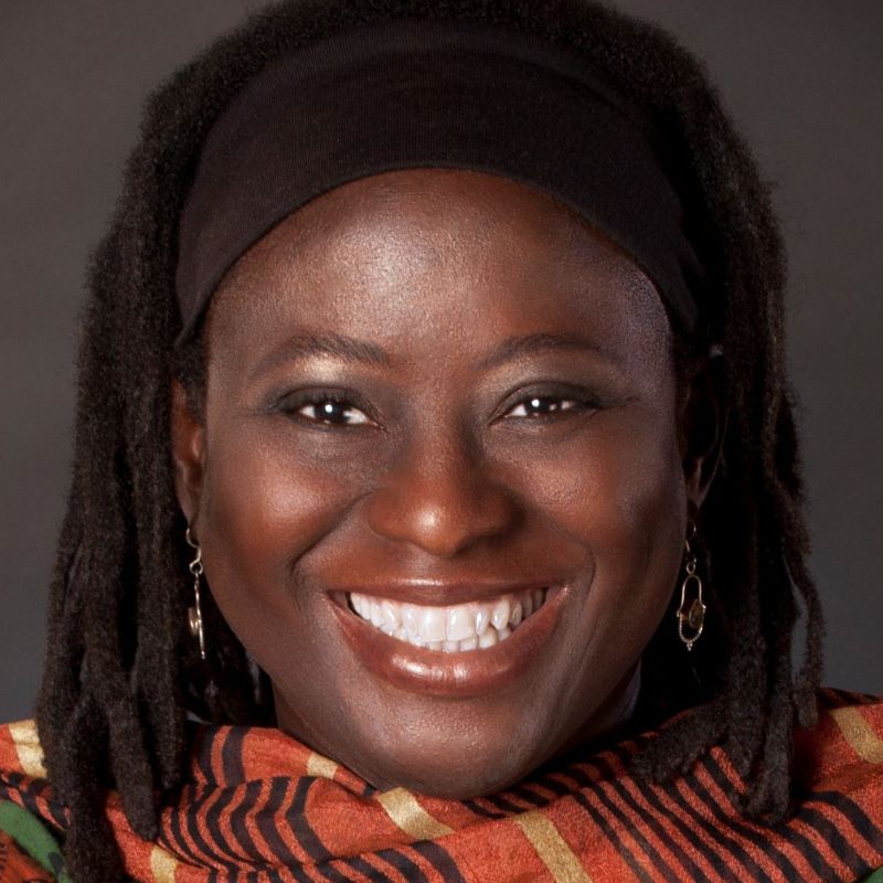 Member - Dr. Abiola Oladoke, PhD